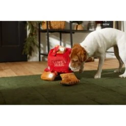Frisco Holiday Hot Cocoa Hide & Seek Puzzle Plush Squeaky Dog Toy & Frisco Holiday North Pole Mailbox Hide & Seek Puzzle Plush Squeaky Dog Toy -Snuggle Paws 986166 PT8. AC SS1800 V1698258533