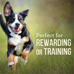 Merrick Power Bites Real Rabbit + Sweet Potato Recipe Grain-Free Soft & Chewy Dog Treats -Snuggle Paws 98675 PT4. AC SS1800 V1644905186