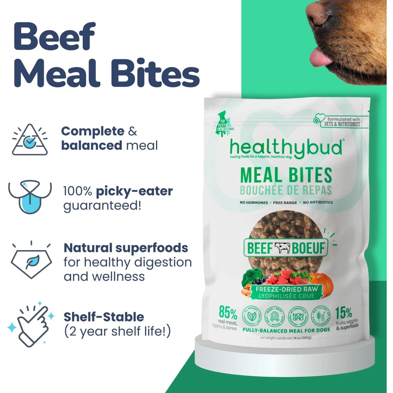 Healthybud Beef Meal Bites Freeze-Dried Dog Food, 14-oz Bag 6 Healthybud Beef Meal Bites Freeze-Dried Dog Food, 14-oz Bag - Image 4