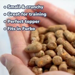 Healthybud Beef Meal Bites Freeze-Dried Dog Food, 14-oz Bag 15 Healthybud Beef Meal Bites Freeze-Dried Dog Food, 14-oz Bag -Snuggle Paws 992558 PT4. AC SS1800 V1702938490