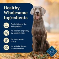 Blue Buffalo Delectables Chicken Dinner Natural Wet Dog Food 3-oz Pouch, Case Of 24 -Snuggle Paws 992806 PT5. AC SS1800 V1699023084
