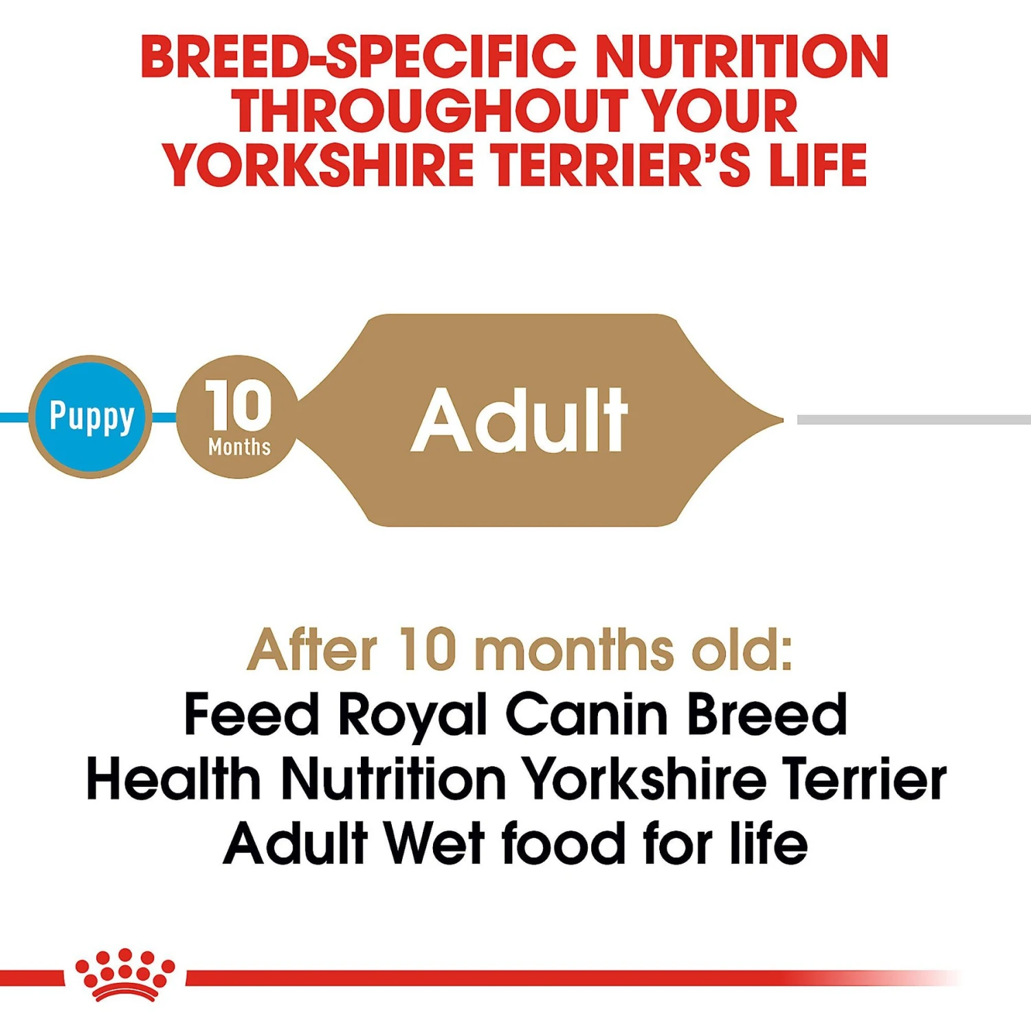 Royal Canin Breed Health Nutrition Yorkshire Terrier Adult Loaf In Sauce Dog Food 6 Royal Canin Breed Health Nutrition Yorkshire Terrier Adult Loaf In Sauce Dog Food - Image 4