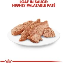 Royal Canin Breed Health Nutrition Yorkshire Terrier Adult Loaf In Sauce Dog Food 15 Royal Canin Breed Health Nutrition Yorkshire Terrier Adult Loaf In Sauce Dog Food -Snuggle Paws 99663 PT5. AC SS1800 V1592850979