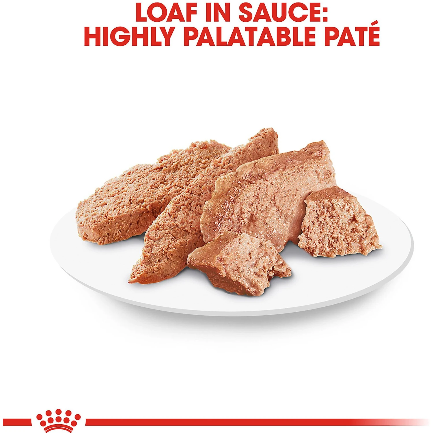 Royal Canin Breed Health Nutrition Yorkshire Terrier Adult Loaf In Sauce Dog Food 8 Royal Canin Breed Health Nutrition Yorkshire Terrier Adult Loaf In Sauce Dog Food - Image 6