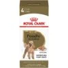 Royal Canin Breed Health Nutrition Poodle Adult Loaf In Sauce Canned Dog Food -Snuggle Paws 99667 MAIN. AC SS1800 V1592948781