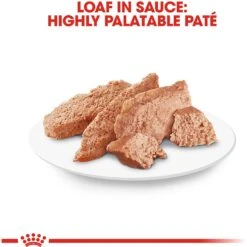 Royal Canin Breed Health Nutrition Poodle Adult Loaf In Sauce Canned Dog Food -Snuggle Paws 99667 PT5. AC SS1800 V1592852162